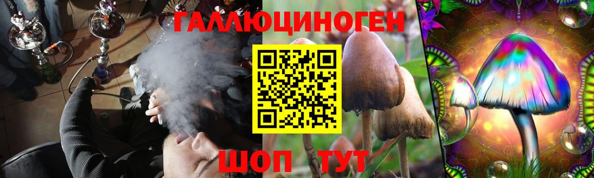 Галлюциногенные грибы GOLDEN TEACHER  Вход с VPN  Фурманов 